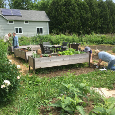 Group gardening in raised garden beds